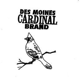 CARDINAL BRAND