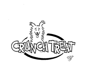 CRUNCH TREAT
