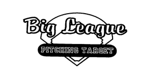 BIG LEAGUE PITCHING TARGET