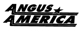 ANGUS AMERICA