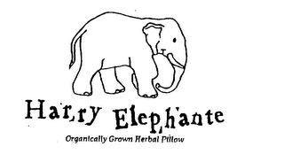 HARRY ELEPHANTE ORGANICALLY GROWN HERBAL PILLOW