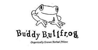 BUDDY BULLFROG ORGANICALLY GROWN HERBAL PILLOW