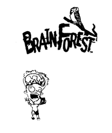 BRAIN FOREST