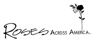 ROSES ACROSS AMERICA