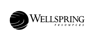 WELLSPRING RESOURCES