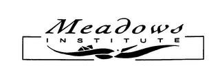 MEADOWS INSTITUTE