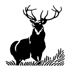 NO MARK TEXT PROVIDED trademark