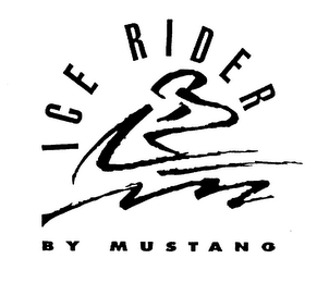 ICE RIDER BY MUSTANG