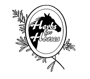 HERBS FOR HORSES