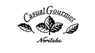 CASUAL GOURMET NORITAKE