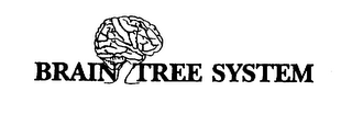 BRAIN TREE SYSTEM