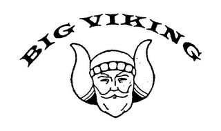 BIG VIKING