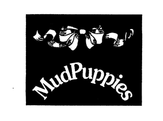 MUDPUPPIES