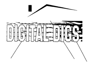 DIGITAL DIGS