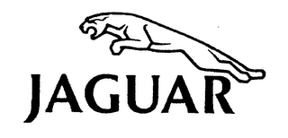 JAGUAR