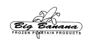 BIG BANANA FROZEN PLANTAIN PRODUCTS