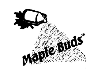 MAPLE BUDS