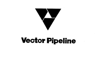 VECTOR PIPELINE