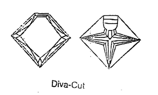 DIVA-CUT