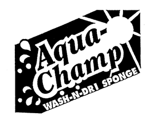 AQUA-CHAMP WASH-N-DRI SPONGE