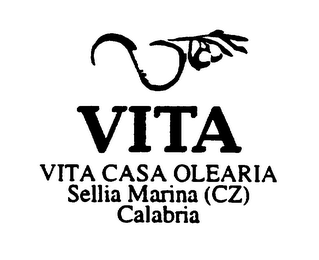 VITA VITA CASA OLEARIA SELLIA MARINA (CZ) CALABRIA