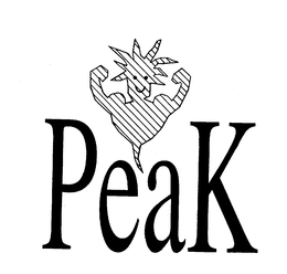 PEAK