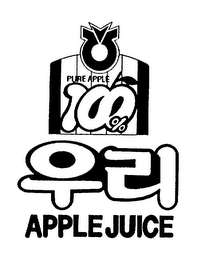 PURE APPLE 100% APPLE JUICE