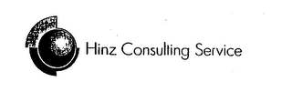 HINZ CONSULTING SERVICE