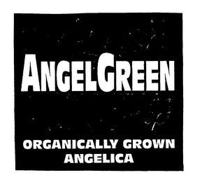 ANGEL GREEN ORGANICALLY GROWN ANGELICA