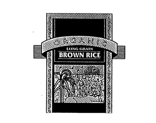 ORGANIC LONG GRAIN BROWN RICE