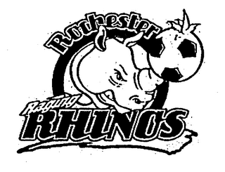 ROCHESTER RAGING RHINOS