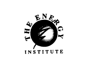 THE ENERGY INSTITUTE