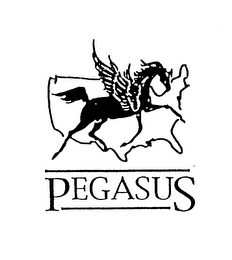 PEGASUS