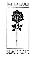 BAL HARBOUR BLACK ROSE