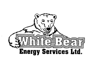 WHITE BEAR ENERGY SERVICES LTD.