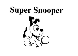 SUPER SNOOPER