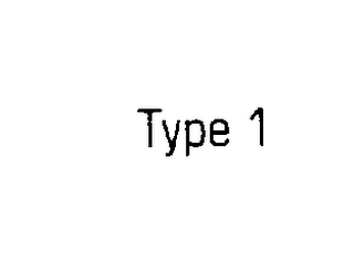 TYPE 1