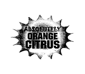 ABSOLUTELY ORANGE CITRUS