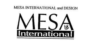 MESA INTERNATIONAL