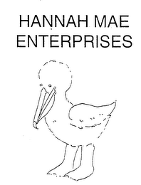 HANNAH MAE ENTERPRISES