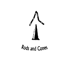 RODS AND CONES