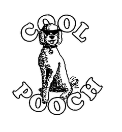 COOL POOCH