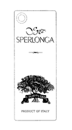 SPERLONGA L'ANTICO ULIVO PRODUCT OF ITALY