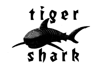 TIGER SHARK