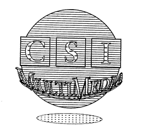 CSI MULTIMEDIA