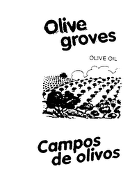 OLIVE GROVES OLIVE OIL CAMPOS DE OLIVOS