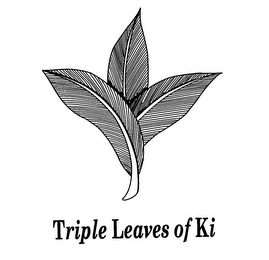 TRIPLE LEAVES OF KI