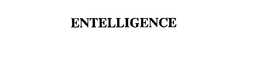 ENTELLIGENCE, INC.