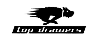 TOP DRAWERS