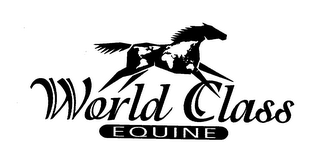 WORLD CLASS EQUINE